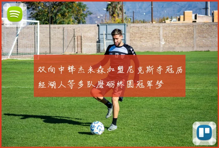 双向中锋杰米森加盟尼克斯夺冠历经湖人等多队磨砺终圆冠军梦